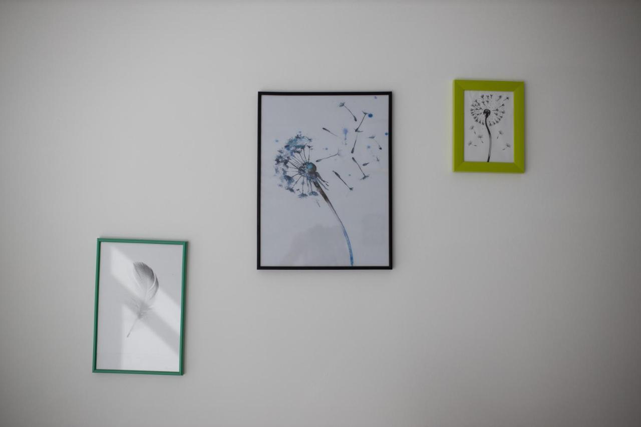 Dandelion Hostel Zadar Dış mekan fotoğraf