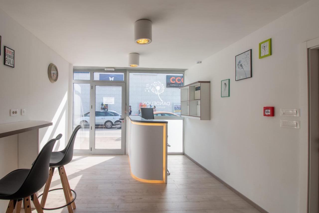 Dandelion Hostel Zadar Dış mekan fotoğraf