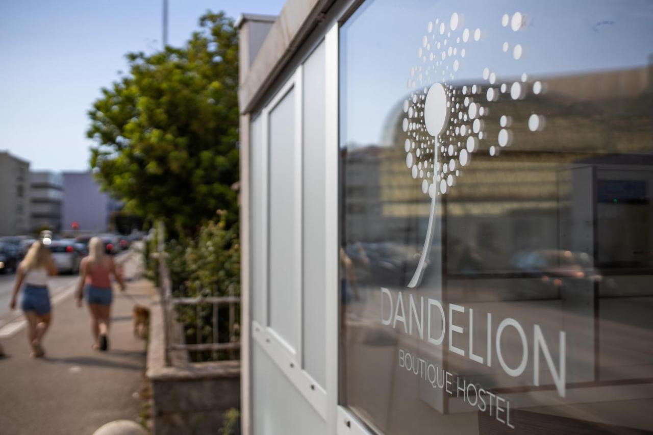 Dandelion Hostel Zadar Dış mekan fotoğraf
