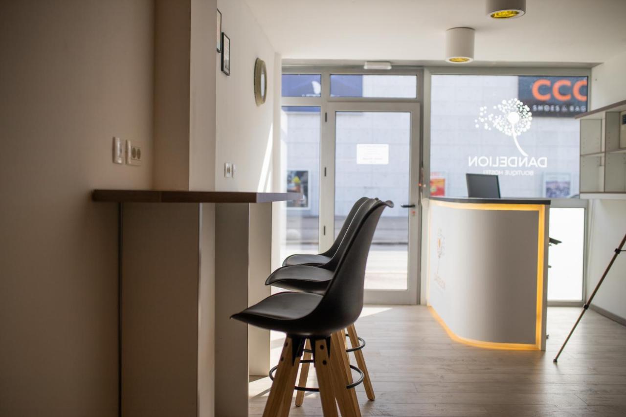 Dandelion Hostel Zadar Dış mekan fotoğraf