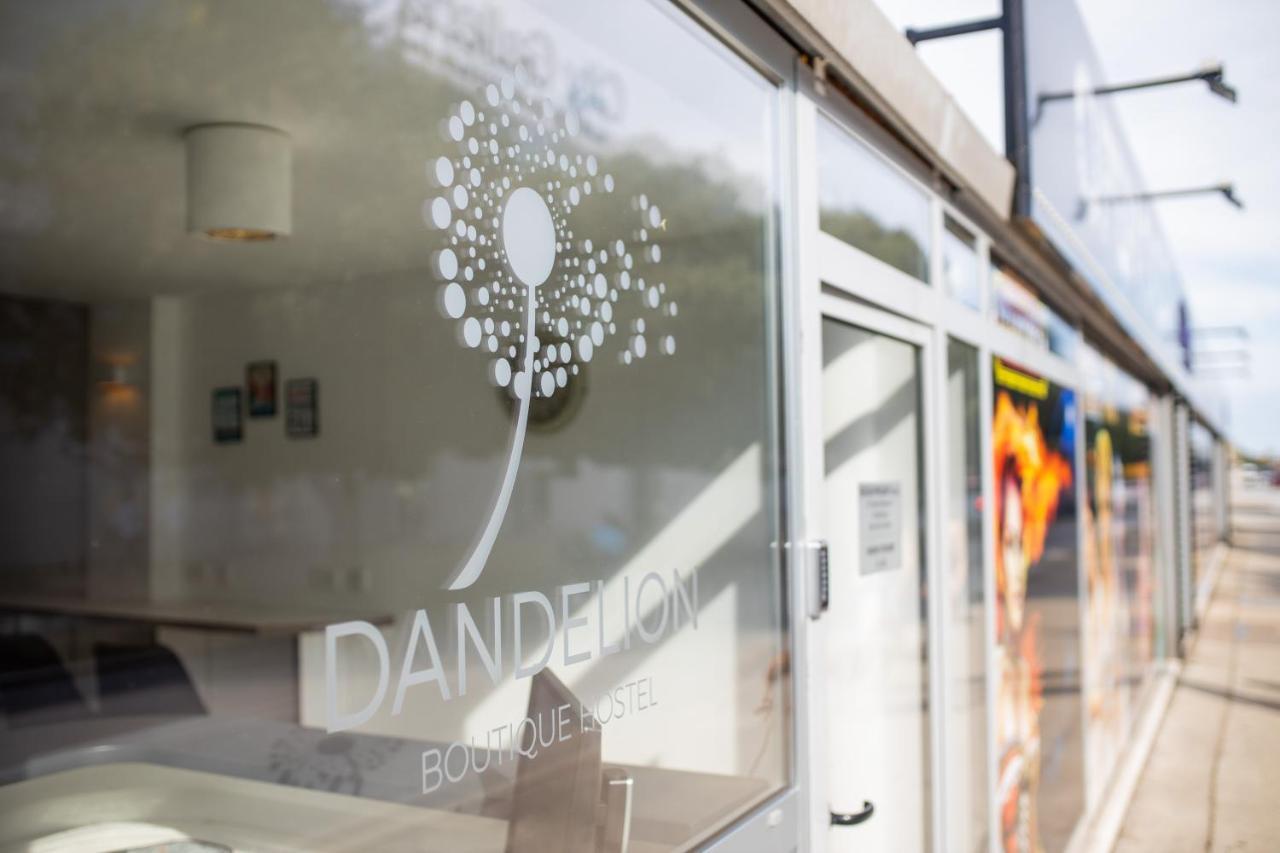 Dandelion Hostel Zadar Dış mekan fotoğraf