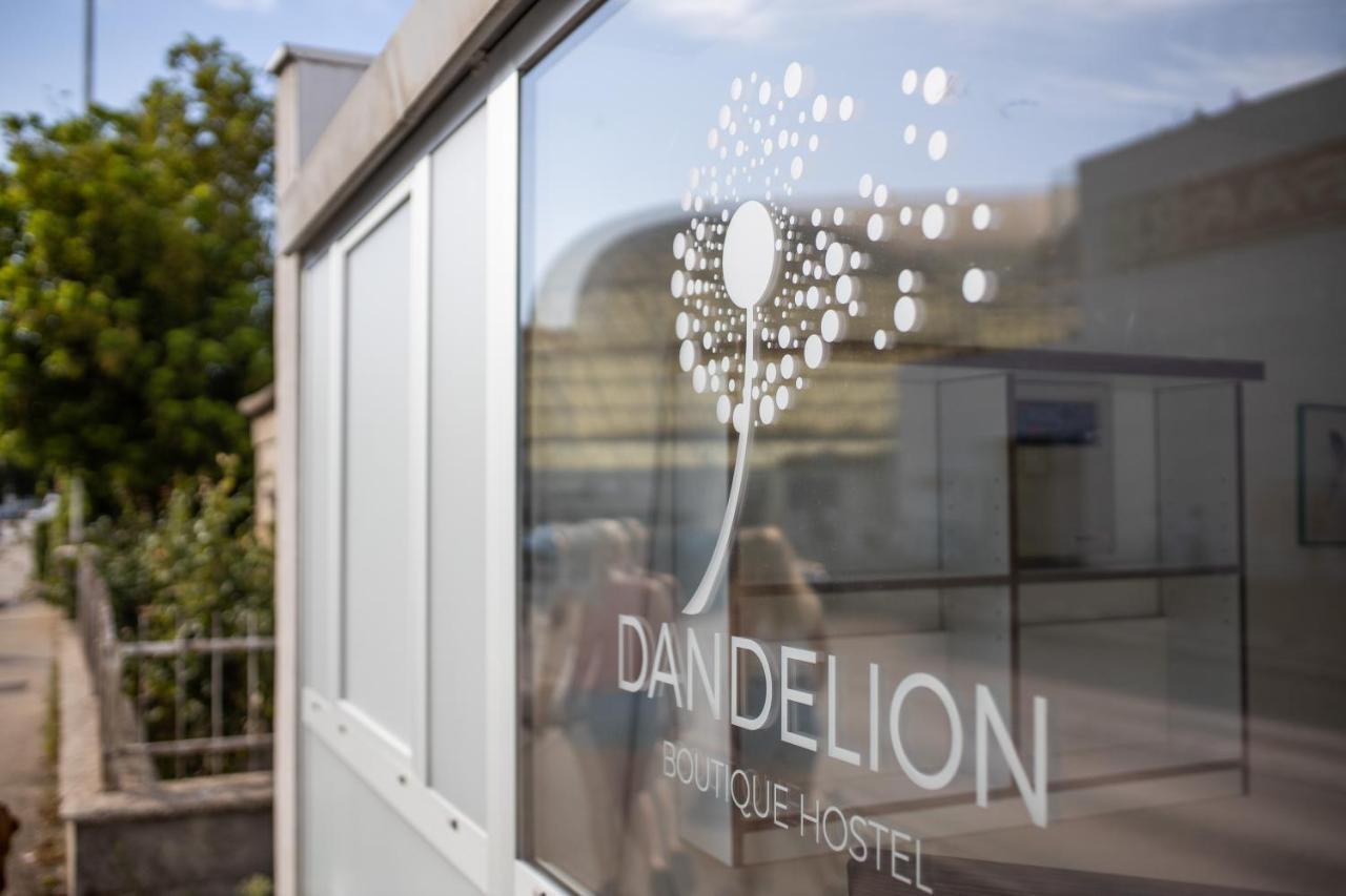 Dandelion Hostel Zadar Dış mekan fotoğraf