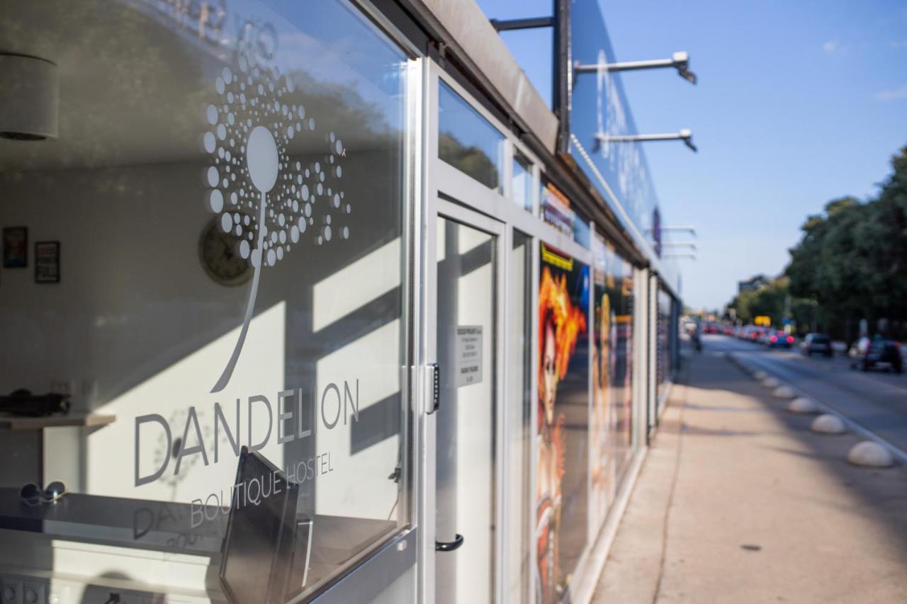 Dandelion Hostel Zadar Dış mekan fotoğraf