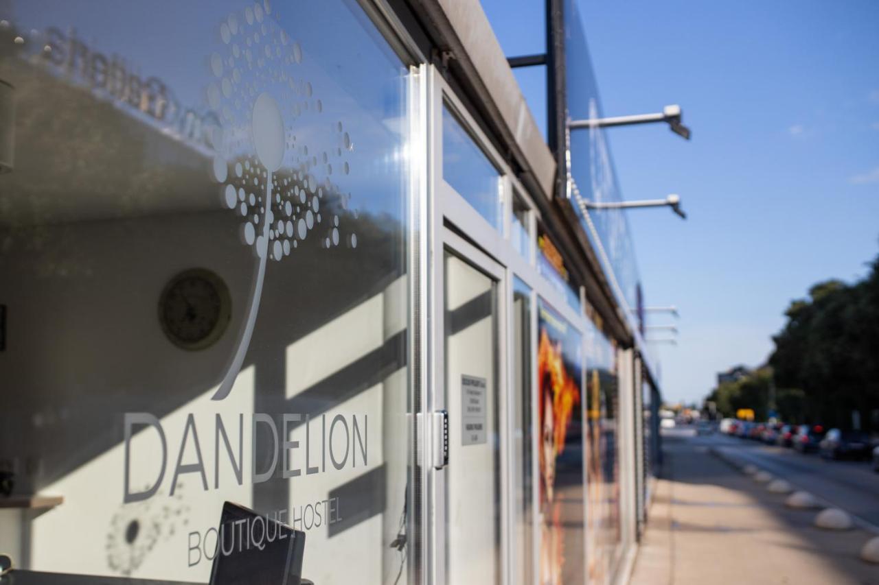 Dandelion Hostel Zadar Dış mekan fotoğraf