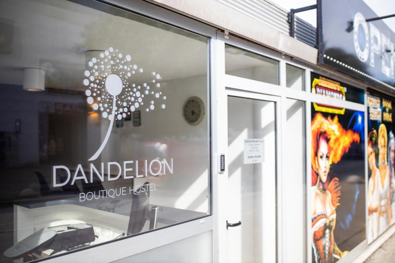 Dandelion Hostel Zadar Dış mekan fotoğraf